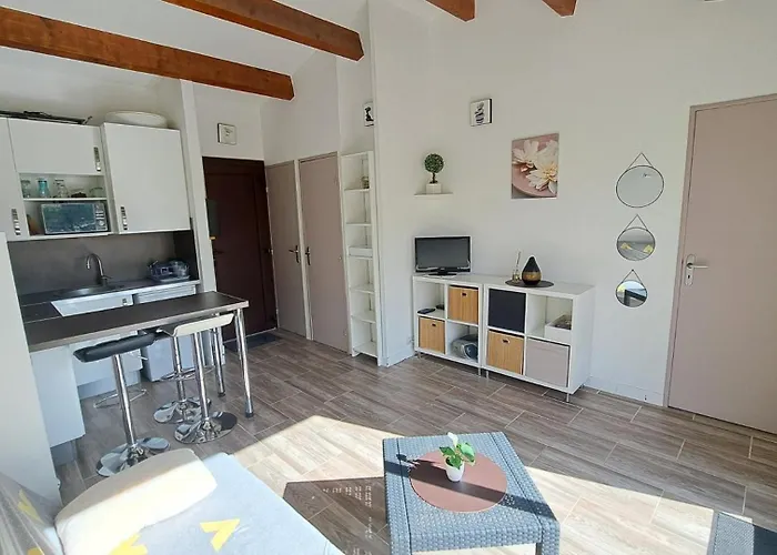 Apartamento Cap D'agde, Beau T2, Parking *
